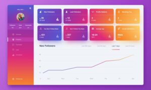 Using Instagram Analytics