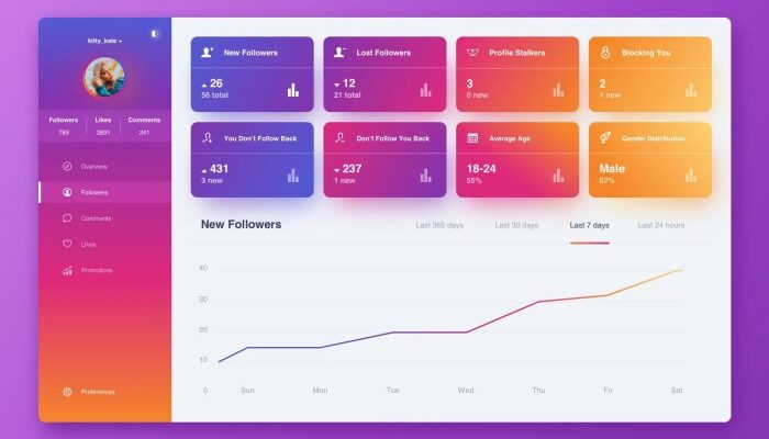 Using Instagram Analytics