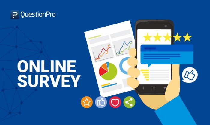 Creating Online Surveys