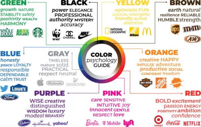 Understanding the Impact of Brand Colors