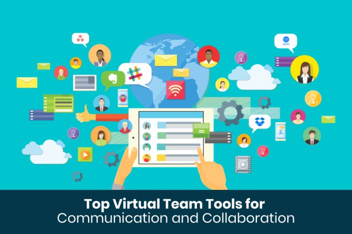 Working with a Virtual Team